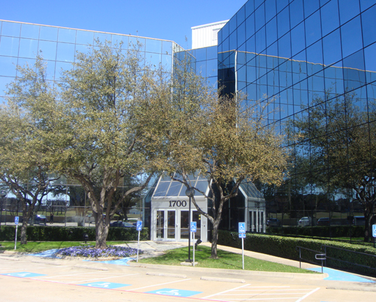 Dr. Stammen | Plano Psychologist